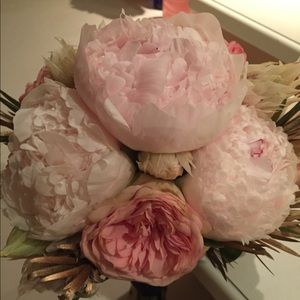 Meet your Posher, Starz